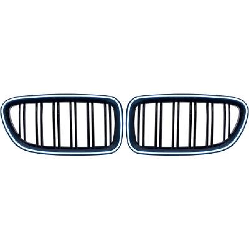 Calandres avant look M-Tech double lame avec LED pour BMW Série 5 F10 / F11 10-17