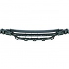 Grille centrale pare choc avant pour BMW F20 11-15