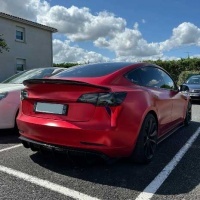 2 Feux arriere LED dynamiques Tesla Model 3 Model Y - Noir fumé