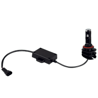 Osram 2 Ampoules LED H11/H8/H16 6000K