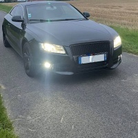 Grille calandre Audi A5 07-11 - look RS5 - Noir Laqué PDC