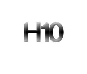 H10