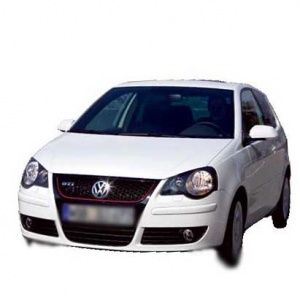 Polo 9N3