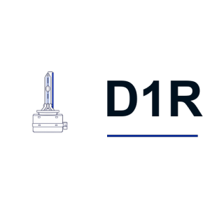 D1R