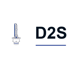 D2S