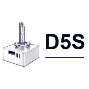 D5S