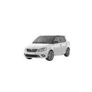 Skoda Fabia 10-14