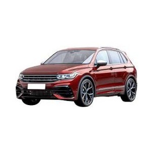 Tiguan 20-24