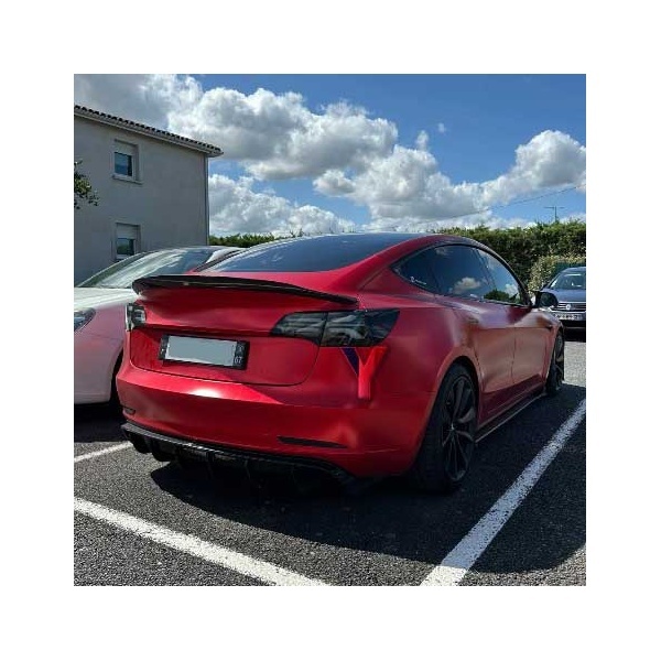 2 Feux arriere LED dynamiques Tesla Model 3 Model Y - Noir fumé