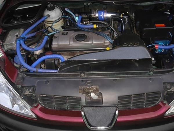 Inlaat sport luchtfilter voor Peugeot 206 - carbon look